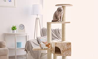 Cat Tree Coupons & Offers